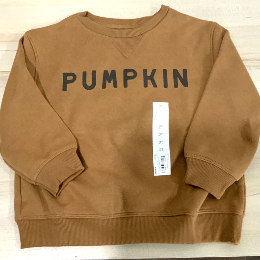 NWT!! Pumpkin Lightweight Sweatshirt Orange/Brown 2T